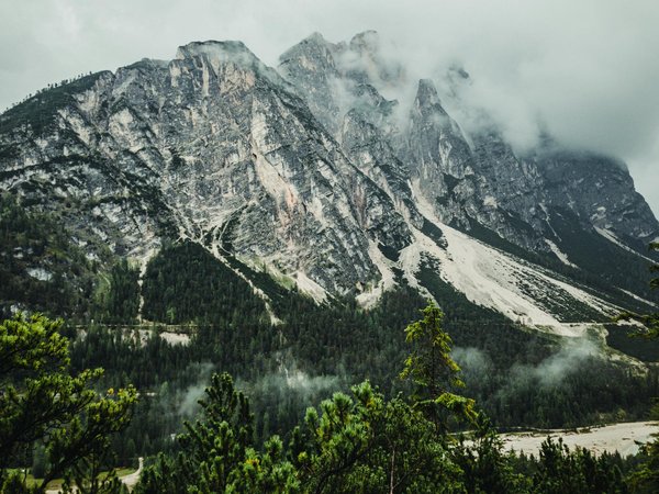 Quels sont les meilleurs sentiers pour une randonnée à vélo dans les montagnes du Jura suisse : itinéraires et niveaux de difficulté ?